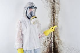 Best Attic Mold Removal  in Buckeye Lake, OH